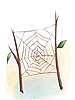 Teia de Aranha