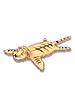 Pele de Tigre