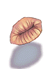 Lábios Fossilizados
