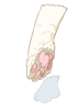 Cat Paw