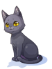 Gatinho Preto