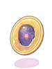 1 Million Zeny Coin - Maya