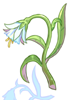 Flor Vital