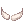 Bigode Grisalho