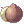 Coco Fresco