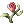 Flor Celestial