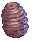 Pupa