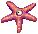 Estrela-do-Mar