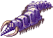 Verme Ancião