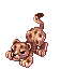 Leopardo Filhote