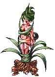Dríade