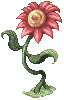 Flor Vermelha