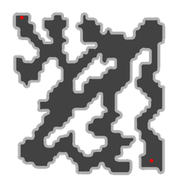 anthell01